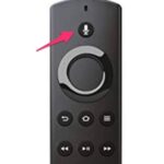 firestick remote voice button