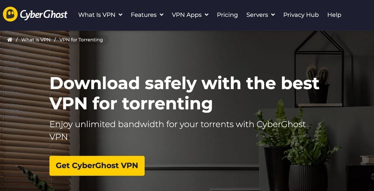 best torrenting vpn