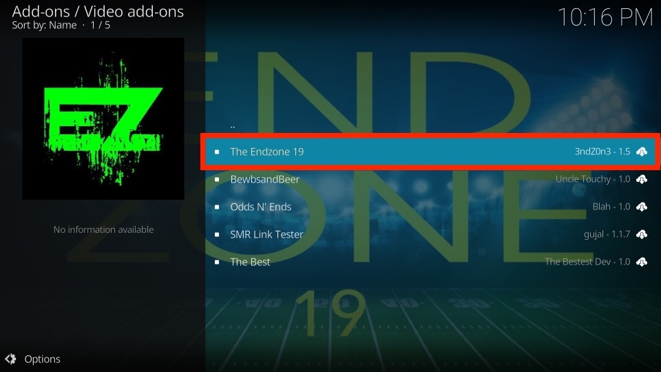 the endzone 19