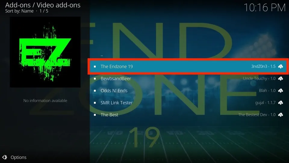 the endzone 19