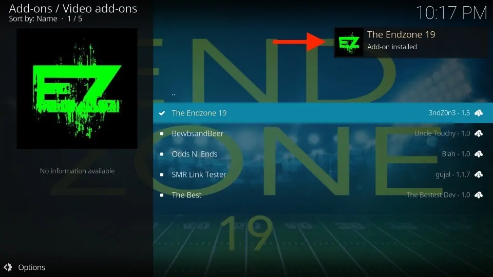 the endzone 19 addon installed