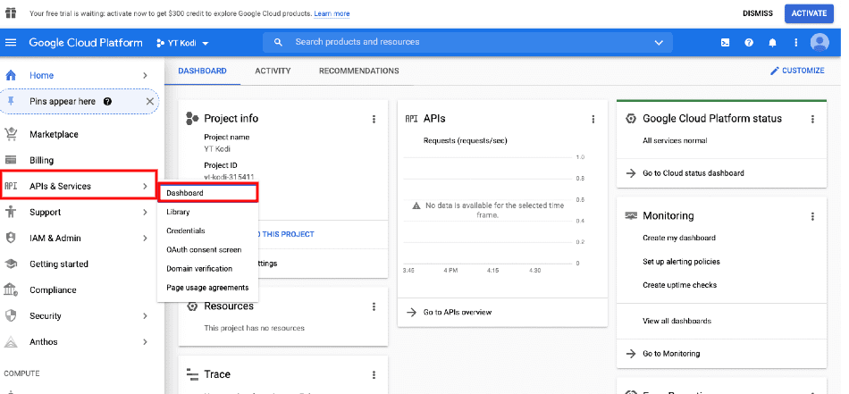 Google API Dashboard