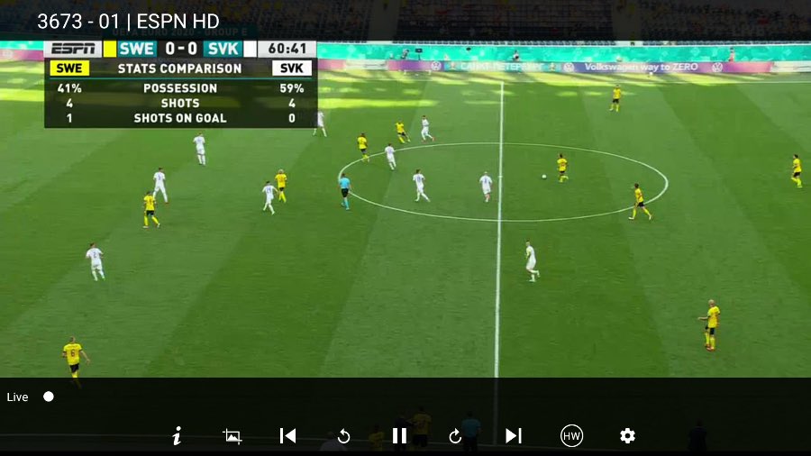 how to watch Dynasty IPTV on firestick