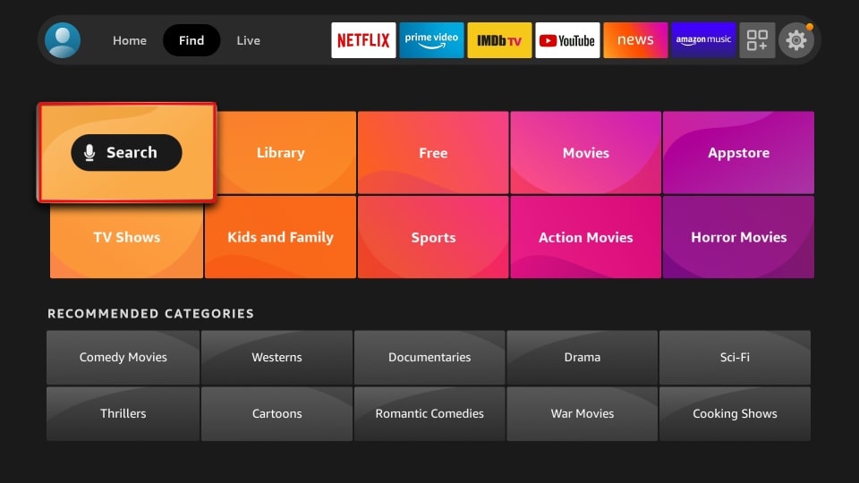 search option on firestick