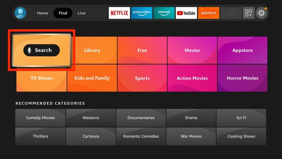 search firestick
