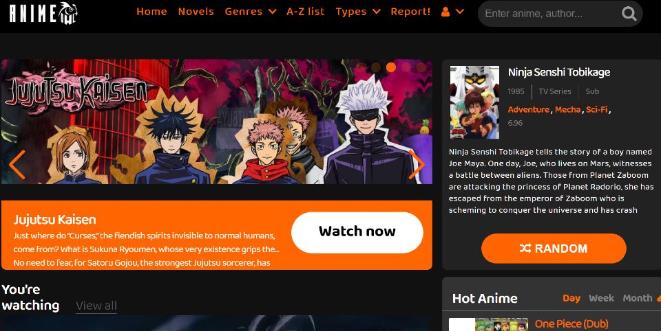 Best Sites To Watch Anime Online  What You Can Watch