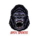 apex sports kodi addon