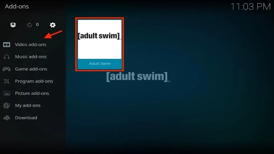 adult swim