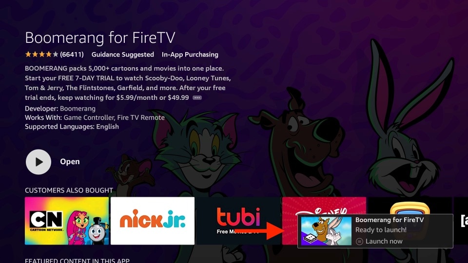 boomerang for fire tv