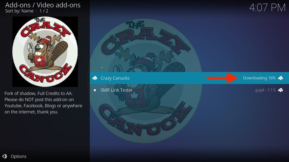 Wait for a few seconds until Kodi downloads