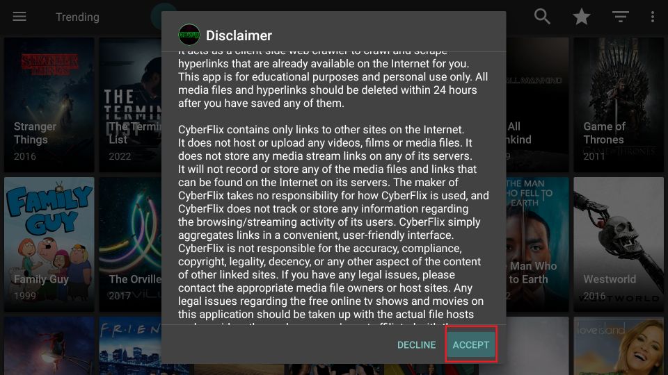 cyberflix disclaimer popup