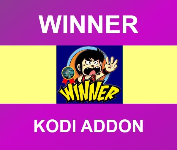 how to install winner kodi addon