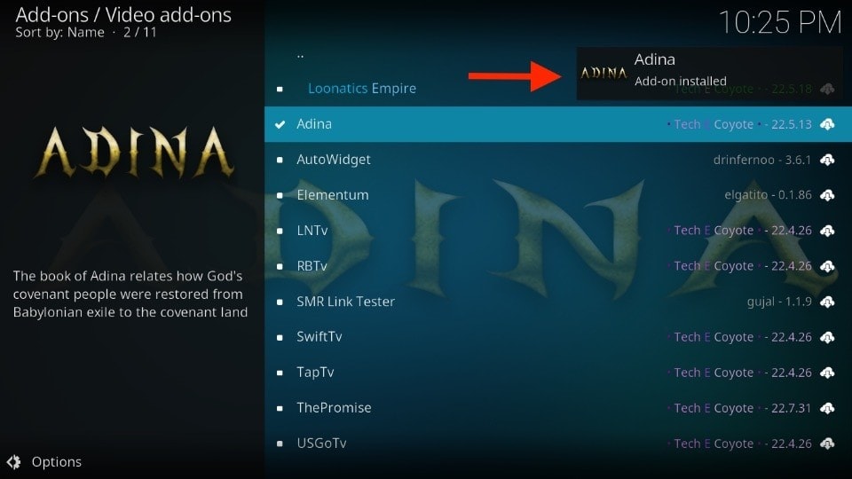 adina addon installed
