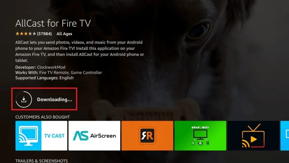 all cast fire tv