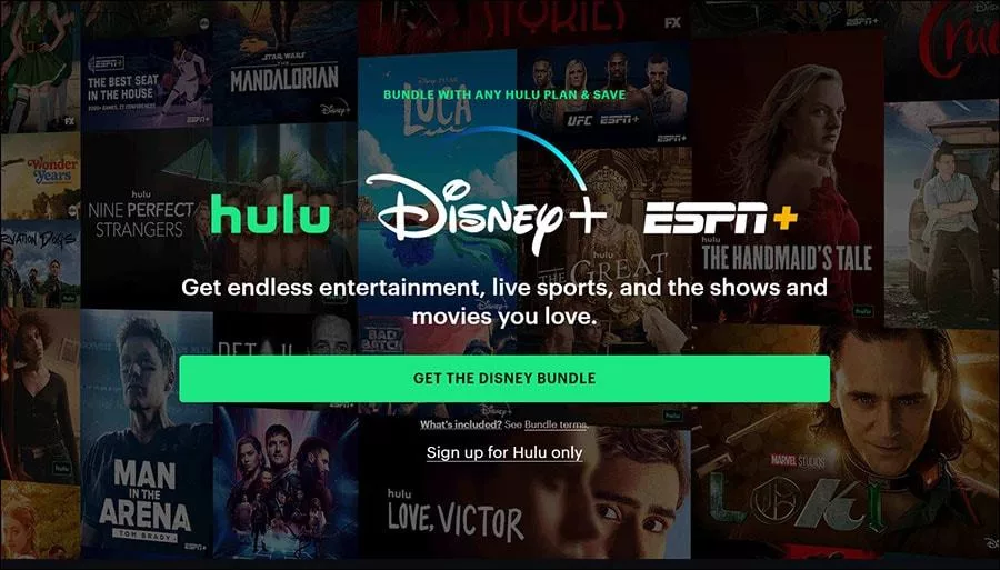 Hulu + Disney Bundle