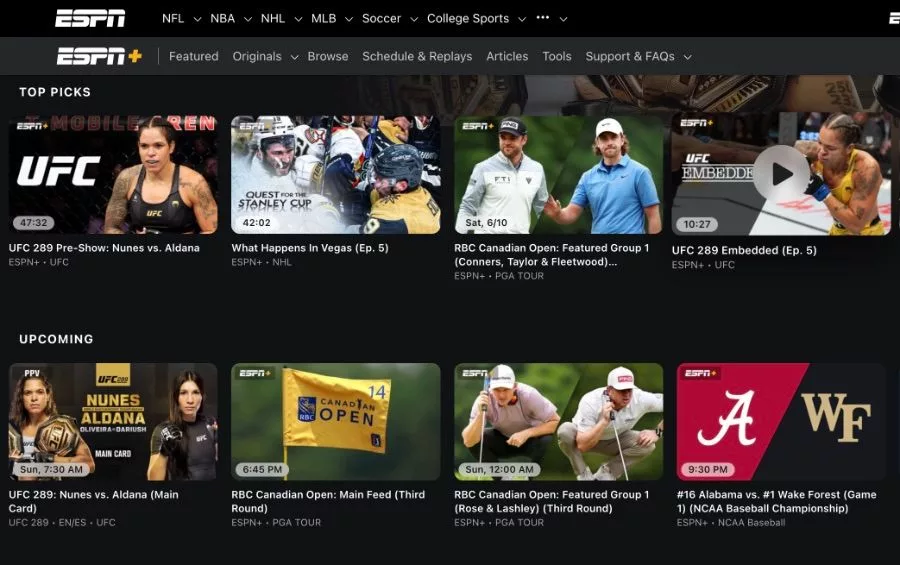 Streaming Options to Watch Taylor vs. Lopez in the US