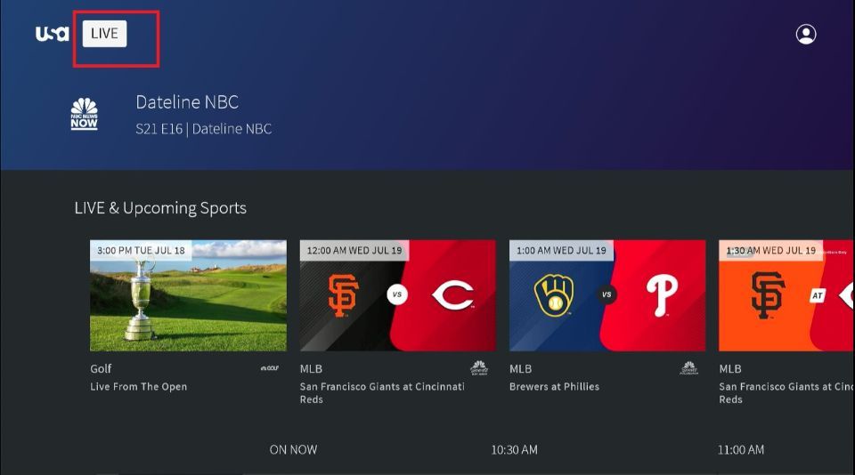 How to watch usa network live on best sale firestick