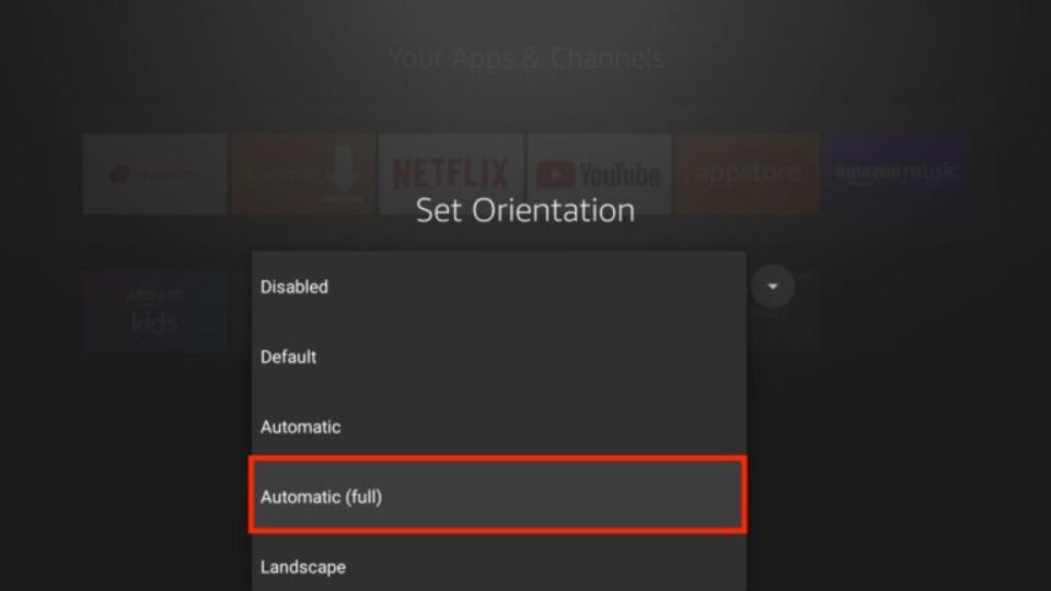Appvn on FireStick