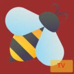 bee tv