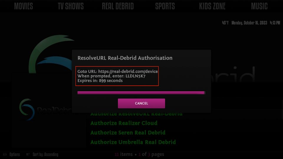 small Real-Debrid Authorization menu