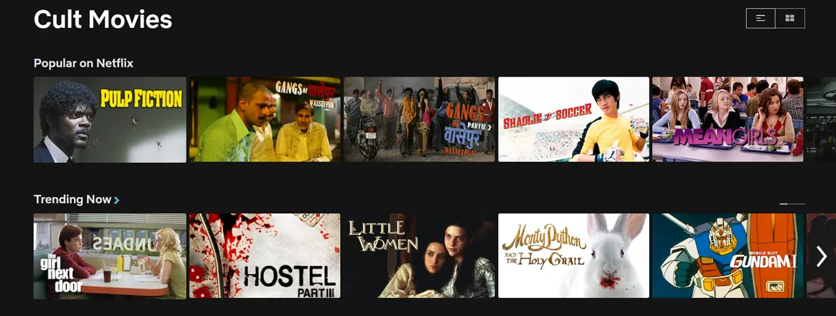 cult netflix secret codes