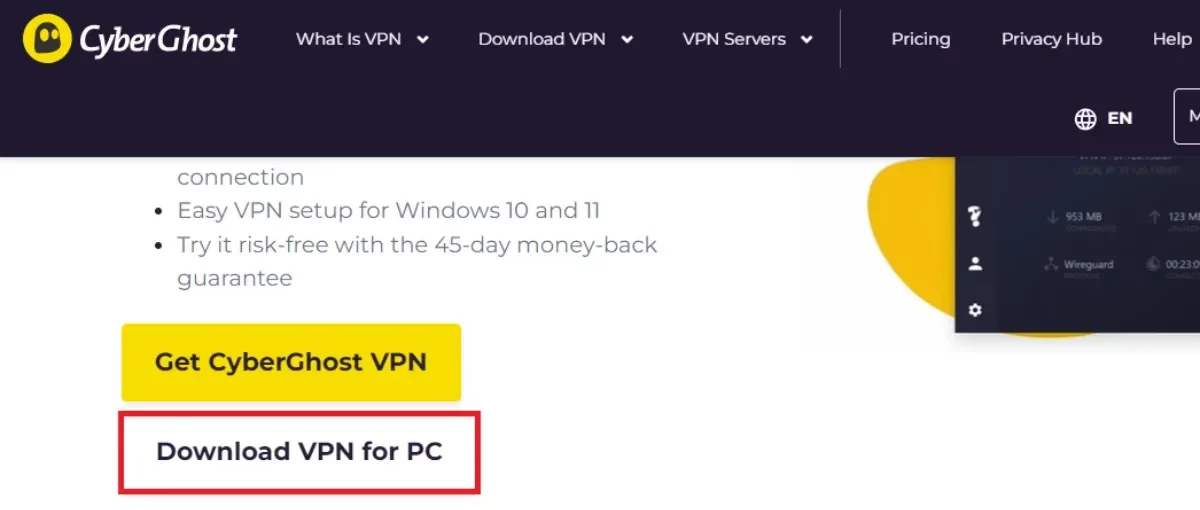free vpn that works with netflix