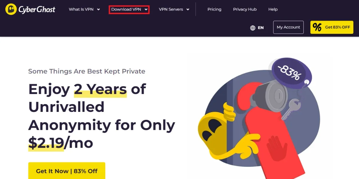 select download vpn tab