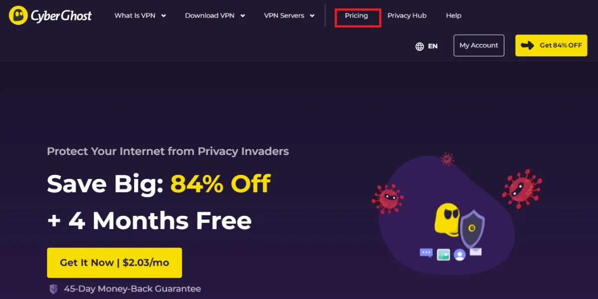 click on pricing tab