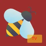bee tv on firestick