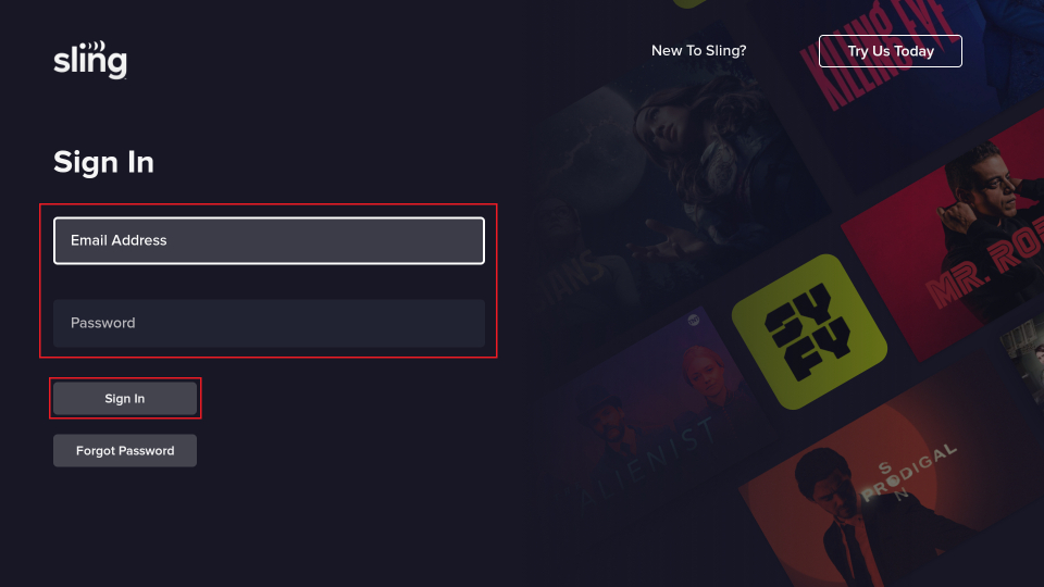 enter email and password