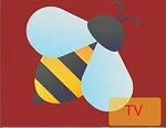 bee tv
