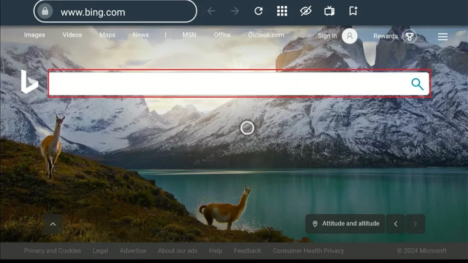 search bar
