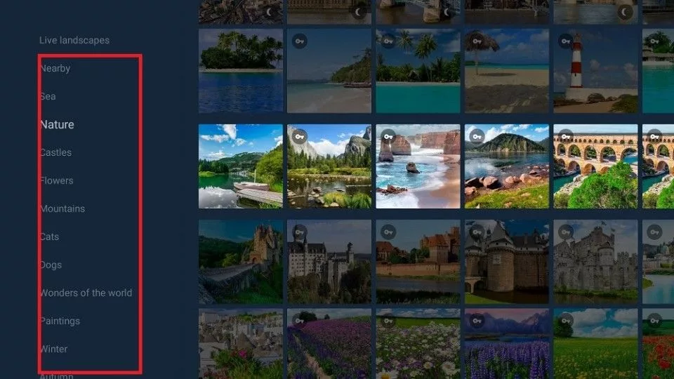 yowindow app on firestick