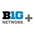 big network +