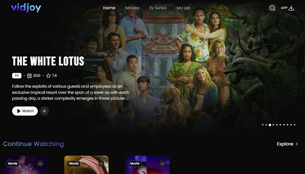 vidjoy