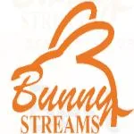 bunny streams iptv