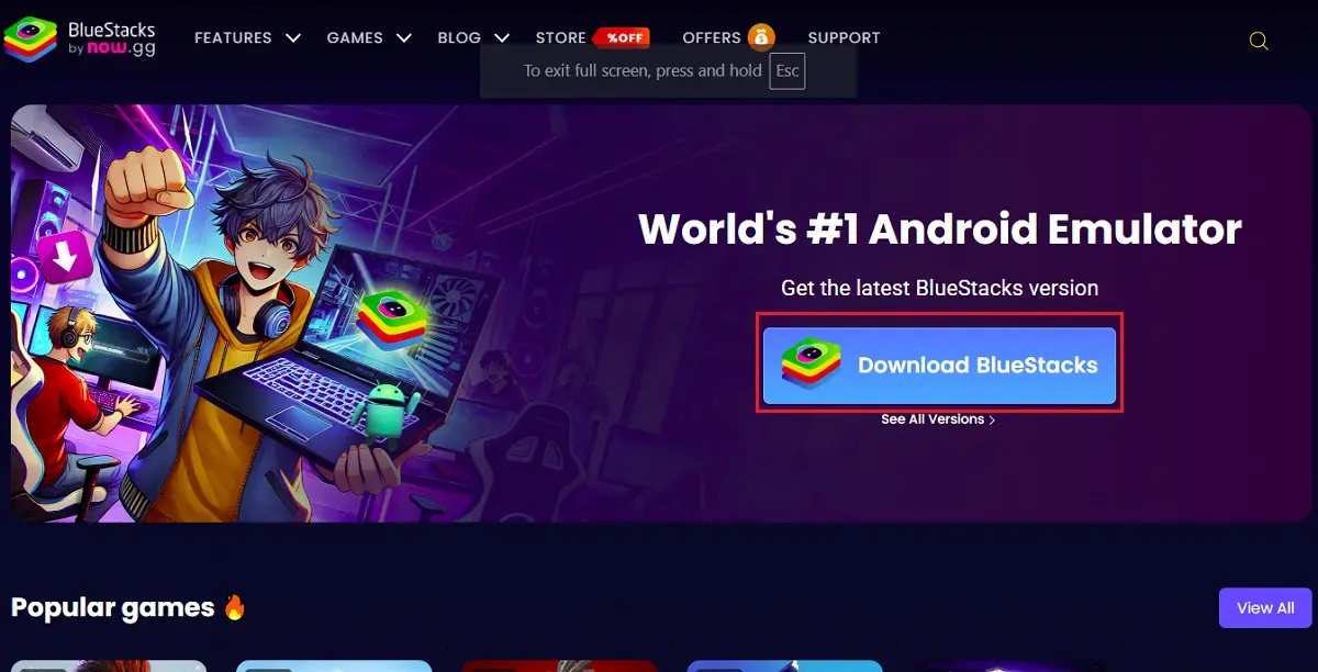 select download bluestacks