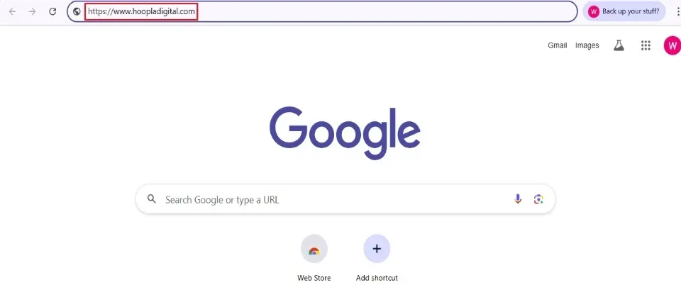 enter hoopla website url