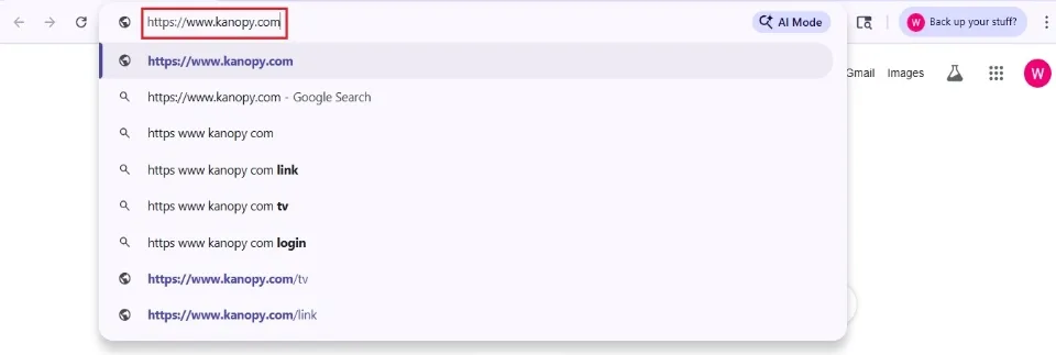enter kanopy website url