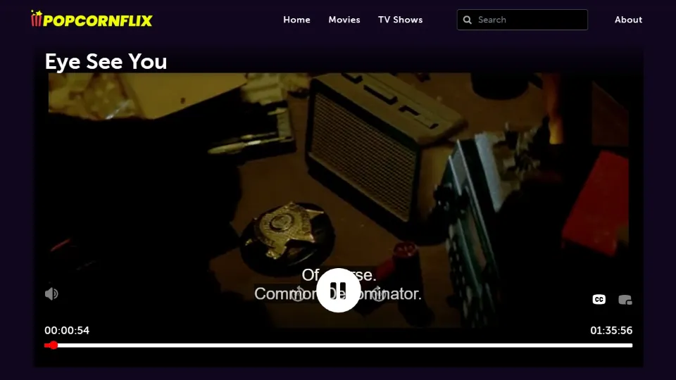 tv show preview/playback