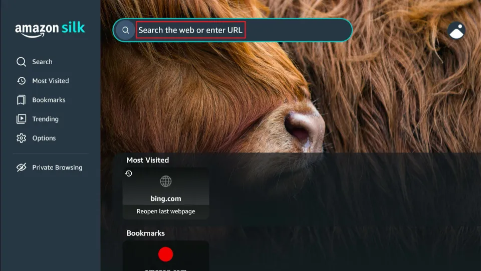 select the enter url tab