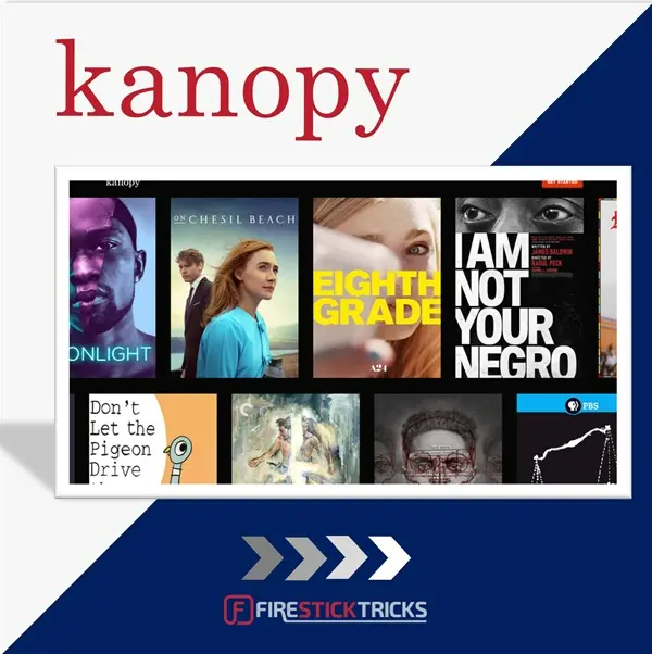 how to watch kanopy