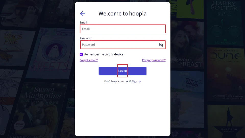 enter email and password
