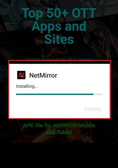 installing net mirror
