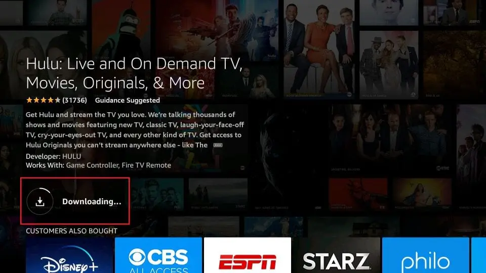 Hulu FireStick app