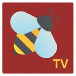 bee tv